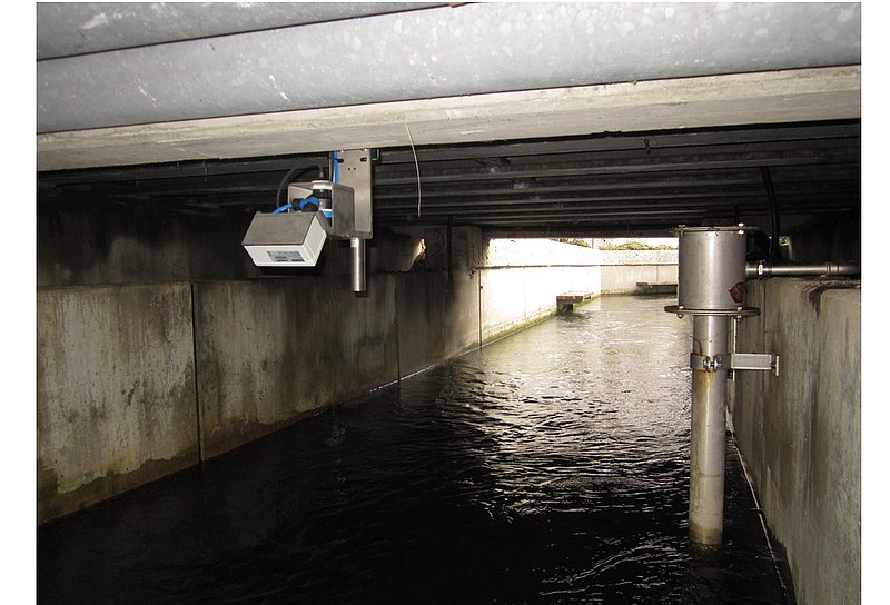 Contactless Flow Measurement on Fish Ladder